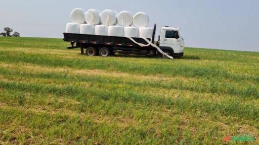 Imagem Serviço de Fenação e Pré-Secado com Alta Qualidade Imagem Serviço de Fenação e Pré-Secado com Alta Qualidade