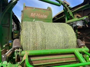 Imagem Serviço de Fenação e Pré-Secado com Alta Qualidade Imagem Serviço de Fenação e Pré-Secado com Alta Qualidade