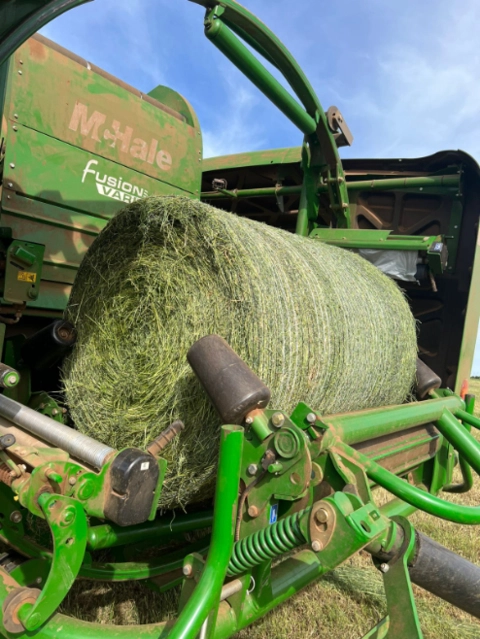 Imagem Serviço de Fenação e Pré-Secado com Alta Qualidade Imagem Serviço de Fenação e Pré-Secado com Alta Qualidade