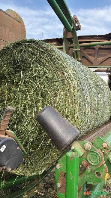 Imagem Serviço de Fenação e Pré-Secado com Alta Qualidade Imagem Serviço de Fenação e Pré-Secado com Alta Qualidade