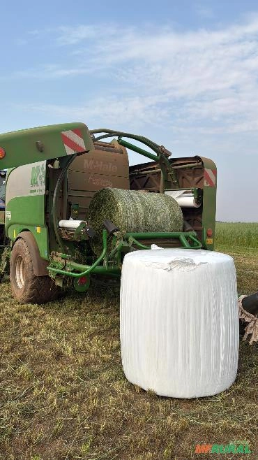 Imagem Serviço de Fenação e Pré-Secado com Alta Qualidade Imagem Serviço de Fenação e Pré-Secado com Alta Qualidade