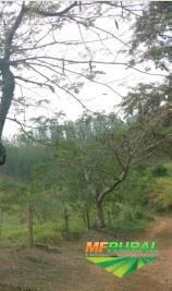 Fazenda à venda, 395 hectares por R$4.400.000,00 - Vale do Paraíba /SP