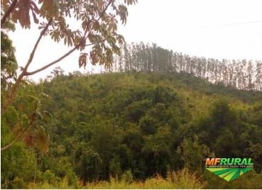 Fazenda à venda, 395 hectares por R$4.400.000,00 - Vale do Paraíba /SP