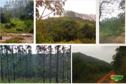 Fazenda à venda, 395 hectares por R$4.400.000,00 - Vale do Paraíba /SP