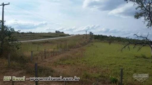 Sitio chacara 2 Hectares beira rodovia DF 190 Proximo samambaia DF Aceito Propostas