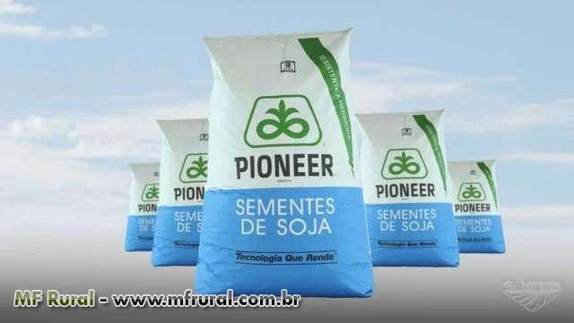 SEMENTE DE SOJA 98Y30 PIONEER