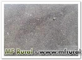 Varredura fosfatada P14 Imagem Varredura fosfatada P14