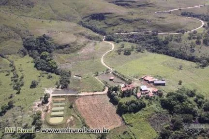 FAZENDA ESPIRITO SANTO-GO