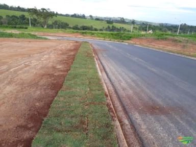 Imagem GRAMAS  - Direto do Produtor para Todo Brasil Imagem GRAMAS  - Direto do Produtor para Todo Brasil