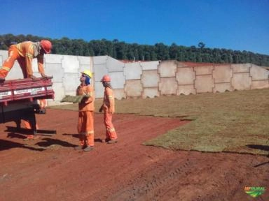 Imagem GRAMAS  - Direto do Produtor para Todo Brasil Imagem GRAMAS  - Direto do Produtor para Todo Brasil