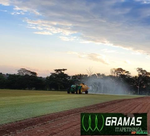 Imagem GRAMAS  - Direto do Produtor para Todo Brasil Imagem GRAMAS  - Direto do Produtor para Todo Brasil