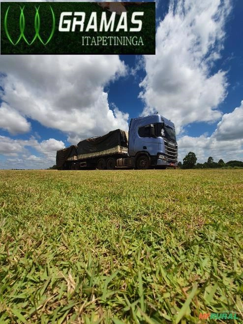 GRAMAS  - Direto do Produtor para Todo Brasil Imagem GRAMAS  - Direto do Produtor para Todo Brasil