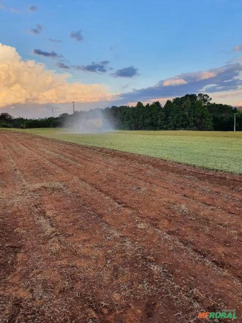 Imagem GRAMAS  - Direto do Produtor para Todo Brasil Imagem GRAMAS  - Direto do Produtor para Todo Brasil