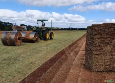 Imagem GRAMAS  - Direto do Produtor para Todo Brasil Imagem GRAMAS  - Direto do Produtor para Todo Brasil