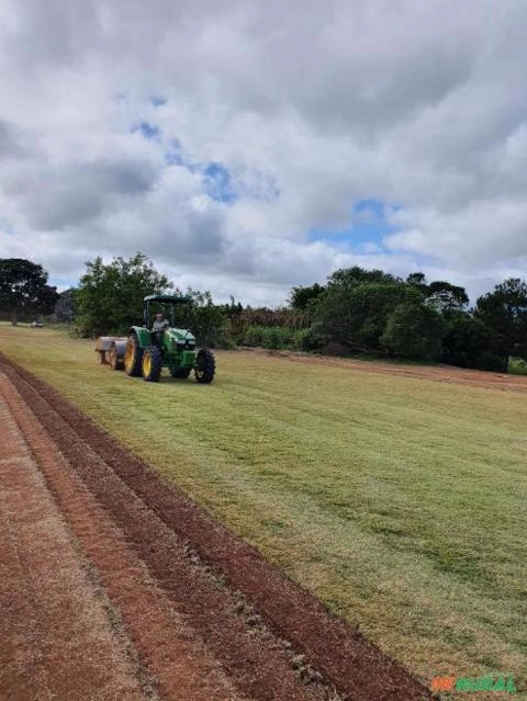 Imagem GRAMAS  - Direto do Produtor para Todo Brasil Imagem GRAMAS  - Direto do Produtor para Todo Brasil