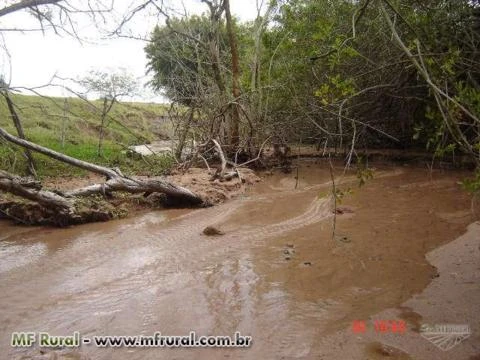 Sitio na região de Vera Cruz/SP com pasto e agua