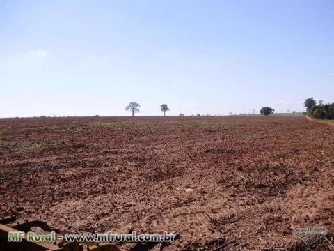 Vendo fazenda soja na região de Ubirajara/São Pedro do Turvo/SP 100% plana