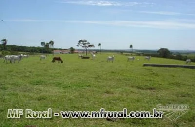 Vendo fazenda na região de Tatui/SP preparada para atividade pecuária