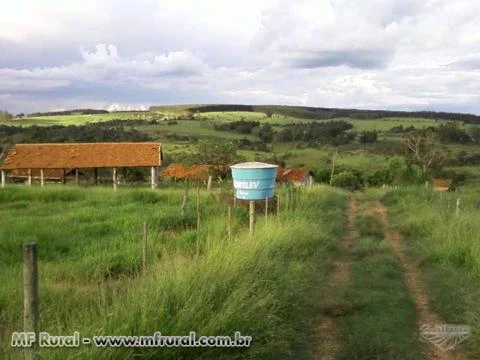 Vendo sitio em Duartina/SP formado para pecuaria