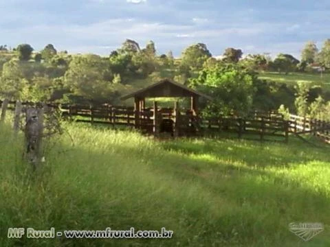 Vendo sitio em Duartina/SP formado para pecuaria