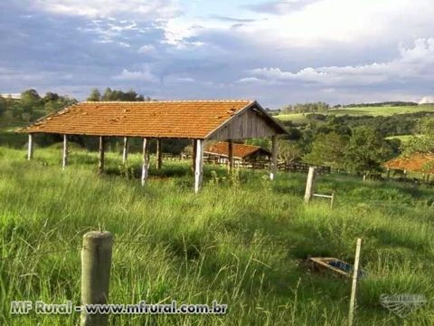 Vendo sitio em Duartina/SP formado para pecuaria