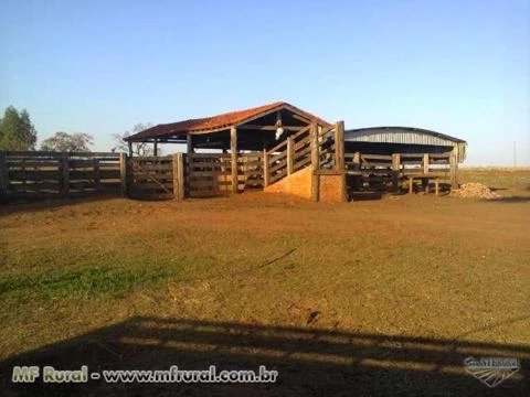 Fazenda na região de Aparecida do Taboado/MS e Paranaíba/MS em pecuária