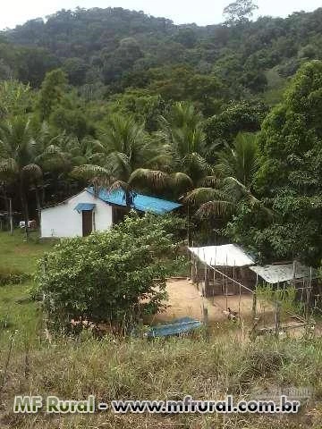 Vendo sítio na serra de Petrópolis/RJ com casas e água mineral