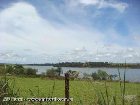 Fazenda  em Guaraci/SP na região de Barretos
