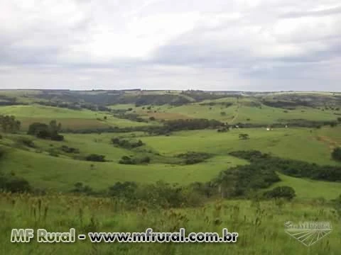 Troco imóveis urbanos em São Paulo Capital por imóvel rural