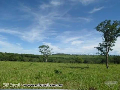 Vendo fazenda em Poxoréo/MT