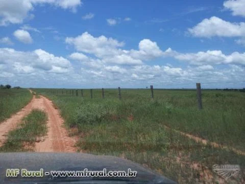 Vendo fazenda para plantio e pecuária em São José do Xingu/MT
