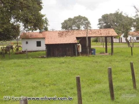 Vendo fazenda localizada a 200 km de Corumba/MS para pecuária