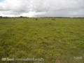 Vendo fazenda localizada a 200 km de Corumba/MS para pecuária