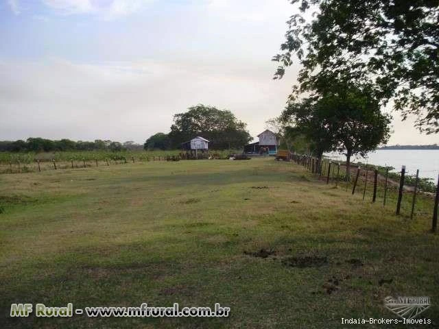 Vendo fazenda em Corumba/MS nas margens do Rio Paraguai em pecuaria