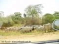 Vendo fazenda em Corumba/MS nas margens do Rio Paraguai em pecuaria