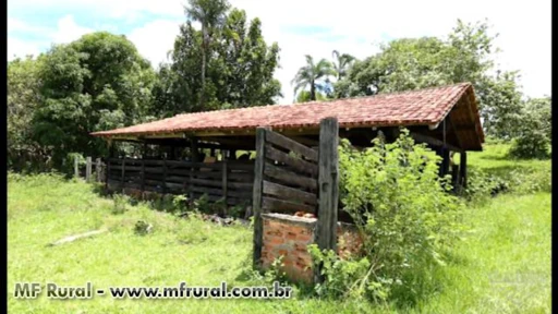Vendo fazenda montada e completa para pecuária no MT-Nova Brasilândia