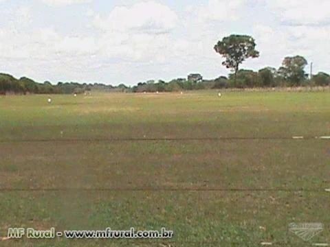 Vendo fazenda completa em Cocalinho/MT-pecuária com pista de pouso