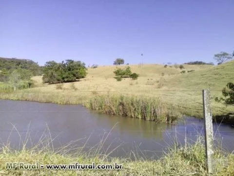 Vendo fazenda em Goiatuba/GO mista em pecuaria e plantio