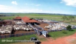 Vendo fazenda em Araçatuba completa para atividade pecuaria rica em agua