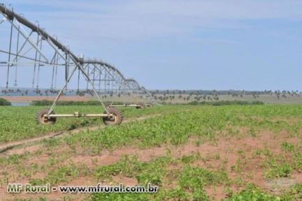Vendo fazenda em Araçatuba completa para atividade pecuaria rica em agua