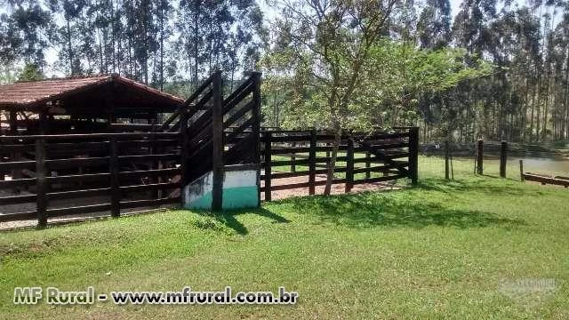 Vendo fazenda de Gado de Elite da Região de Ribeirão Preto