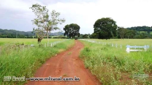 Vendo fazenda em Mato Grosso formada para pecuaria com pagamento em tdas