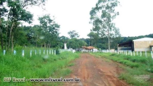 Vendo fazenda em Mato Grosso formada para pecuaria com pagamento em tdas