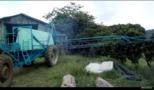 Pulverizador Bertholdi Magnum 4000L | Barras 24m Imagem Pulverizador Bertholdi Magnum 4000L | Barras 24m