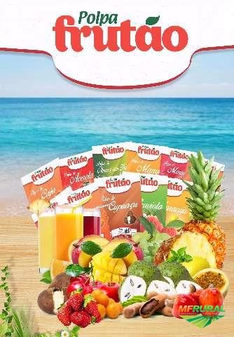 Polpa de Fruta Frutão Imagem Polpa de Fruta Frutão