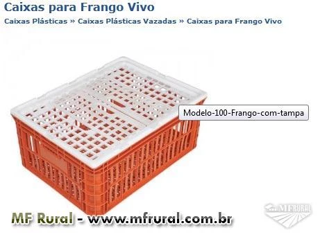 EMBALAGEM PLASTICAS PARA TRANSPORTE DE FRANGO VIVO