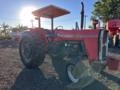 Trator Massey Ferguson MF 290 Ano 1979 Imagem Trator Massey Ferguson MF 290 Ano 1979