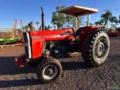 Trator Massey Ferguson MF 290 Ano 1979 Imagem Trator Massey Ferguson MF 290 Ano 1979