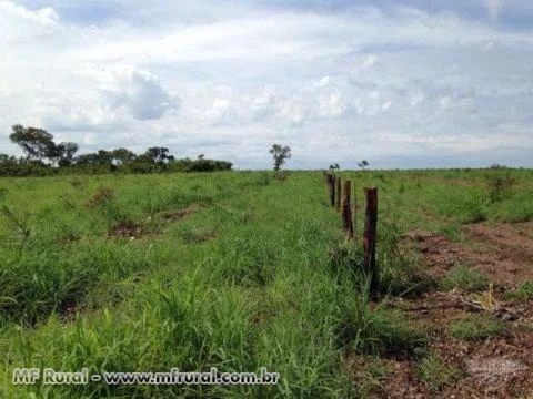 Excelente Oportunidade - Fazenda de 968ha em Sta Rita do Tocantins - TO