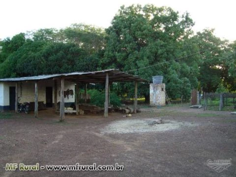 Excelente Oportunidade - Fazenda de 968ha em Sta Rita do Tocantins - TO